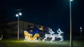 Styczniowe Wydminy bez śniegu w środku zimy - zdjęcie 8