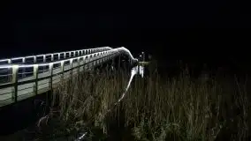 Styczniowe Wydminy bez śniegu w środku zimy - zdjęcie 5