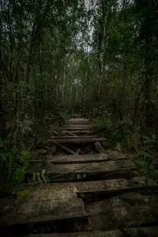 Zdjęcia: Miłośnicy Mazur - dusza Mazur na zdjęciach Piotra Mierzejewskiego - zdjęcie 16