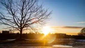 Ełk skąpany w lutowym słońcu - zdjęcie 53