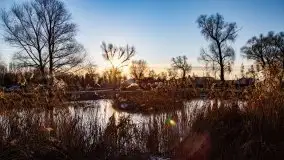 Ełk skąpany w lutowym słońcu - zdjęcie 48