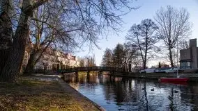 Ełk skąpany w lutowym słońcu - zdjęcie 40