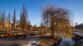 Ełk skąpany w lutowym słońcu - zdjęcie 31