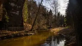 Zdjęcia: Mosty w Botkunach i Kiepojcach - tajemnicze i schowane w lasach - zdjęcie 23