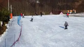 Stok narciarski Gołdap - Piękna Góra - zdjęcie 12