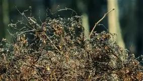 Mazurska przyroda budzi się do życia na zdjęciach Stanisława Sielewicza - zdjęcie 12