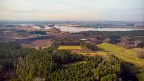 Mazurski las w okolicach Kruklina, luty 2020 - zdjęcie 1