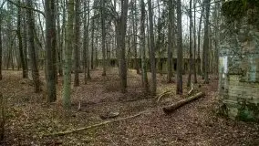 Wilczy Szaniec w Gierłoży zimą jeszcze lepiej widoczny - zdjęcie 12