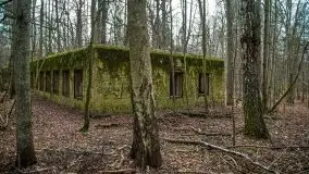 Wilczy Szaniec w Gierłoży zimą jeszcze lepiej widoczny - zdjęcie 17