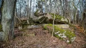 Wilczy Szaniec w Gierłoży zimą jeszcze lepiej widoczny - zdjęcie 39