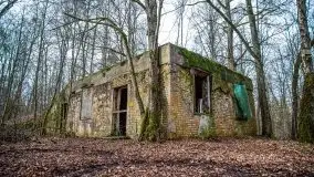 Wilczy Szaniec w Gierłoży zimą jeszcze lepiej widoczny - zdjęcie 40