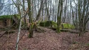 Wilczy Szaniec w Gierłoży zimą jeszcze lepiej widoczny - zdjęcie 42