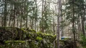 Wilczy Szaniec w Gierłoży zimą jeszcze lepiej widoczny - zdjęcie 48