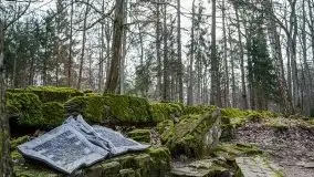 Wilczy Szaniec w Gierłoży zimą jeszcze lepiej widoczny - zdjęcie 59