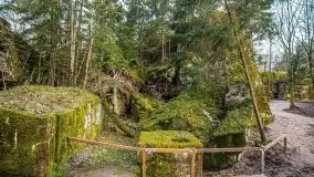 Wilczy Szaniec w Gierłoży zimą jeszcze lepiej widoczny - zdjęcie 70