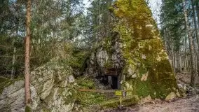 Wilczy Szaniec w Gierłoży zimą jeszcze lepiej widoczny - zdjęcie 71