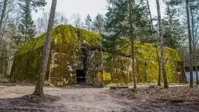 Wilczy Szaniec w Gierłoży zimą jeszcze lepiej widoczny - zdjęcie 73