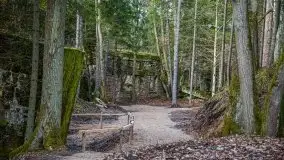 Wilczy Szaniec w Gierłoży zimą jeszcze lepiej widoczny - zdjęcie 75