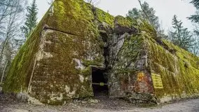 Wilczy Szaniec w Gierłoży zimą jeszcze lepiej widoczny - zdjęcie 77