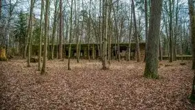 Wilczy Szaniec w Gierłoży zimą jeszcze lepiej widoczny - zdjęcie 85