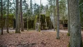 Wilczy Szaniec w Gierłoży zimą jeszcze lepiej widoczny - zdjęcie 87