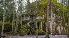 Wilczy Szaniec w Gierłoży zimą jeszcze lepiej widoczny - zdjęcie 106