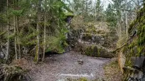 Wilczy Szaniec w Gierłoży zimą jeszcze lepiej widoczny - zdjęcie 110