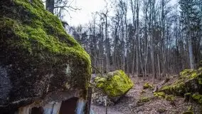 Wilczy Szaniec w Gierłoży zimą jeszcze lepiej widoczny - zdjęcie 111