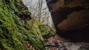 Wilczy Szaniec w Gierłoży zimą jeszcze lepiej widoczny - zdjęcie 122