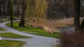 Kętrzyn w półmrokach lutego 2020 - zdjęcie 61