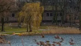 Kętrzyn w półmrokach lutego 2020 - zdjęcie 31