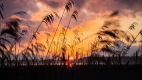 Epicki zachód słońca nad jeziorem Niegocin, luty 2020 - zdjęcie 16