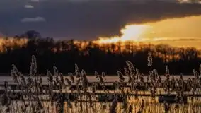 Zachód słońca widoczny w Sztynorcie, 27 luty 2020 - zdjęcie 20