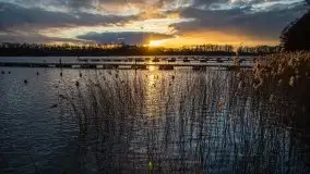 Zachód słońca widoczny w Sztynorcie, 27 luty 2020 - zdjęcie 22