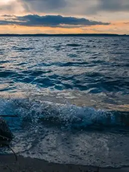 Wiosna w lutym na zdjęciach Stanisława Sielewicza - zdjęcie 19