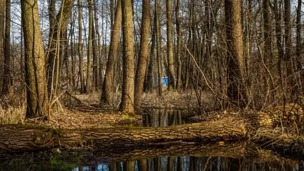 Mrągowo w marcowym słońcu 2020 - zdjęcie 9
