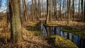 Mrągowo w marcowym słońcu 2020 - zdjęcie 42