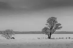 Zdjęcia: Mazurskie pejzaże na zdjęciach Janka Olchówki - zdjęcie 38
