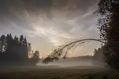 Zdjęcia: Mazurskie pejzaże na zdjęciach Janka Olchówki - zdjęcie 6