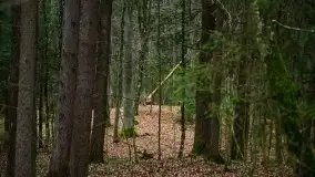 W poszukiwaniu wiosny, okolice Dobry i jez. Dobskiego - zdjęcie 9