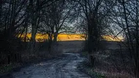 W poszukiwaniu wiosny, okolice Dobry i jez. Dobskiego - zdjęcie 27