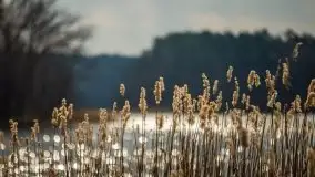 Ruciane Nida w marcowe popołudnie - zdjęcie 44