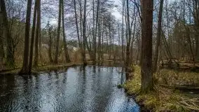 Ruciane Nida w marcowe popołudnie - zdjęcie 14