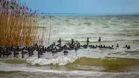 Marcowe kolory Nowych Gutów i jeziora Śniardwy - zdjęcie 42