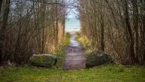 Marcowe kolory Nowych Gutów i jeziora Śniardwy - zdjęcie 41