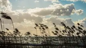 Marcowe kolory Nowych Gutów i jeziora Śniardwy - zdjęcie 26