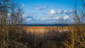 Marcowe kolory Nowych Gutów i jeziora Śniardwy - zdjęcie 19