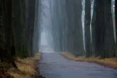 Zdjęcia: Mazurskie pejzaże na zdjęciach Janka Olchówki cz. II - zdjęcie 33