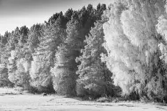 Zdjęcia: Mazurskie pejzaże na zdjęciach Janka Olchówki cz. II - zdjęcie 26