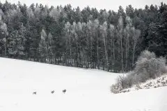Zdjęcia: Mazurskie pejzaże na zdjęciach Janka Olchówki cz. II - zdjęcie 24